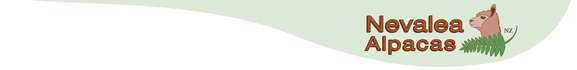 Nevalea Alpacas Logo