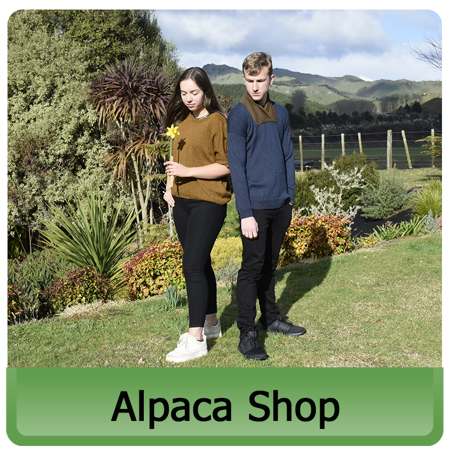 Alpaca Shop