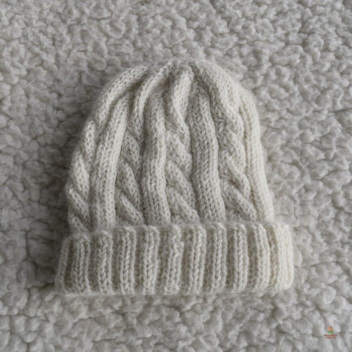Daisy - Image 2