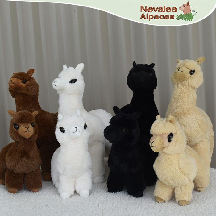 Alpaca Toy