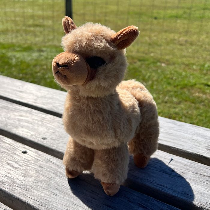 Alpaca Toy - Image 6