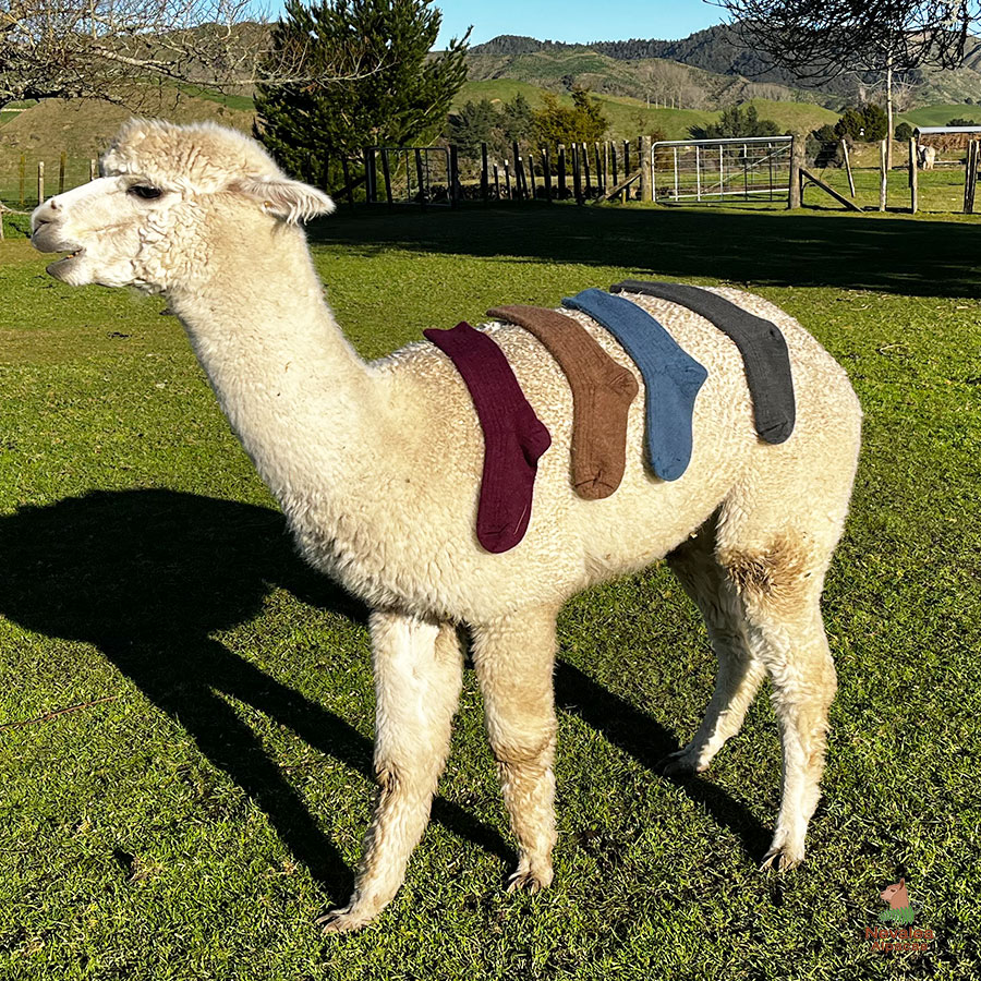 Alpaca Socks