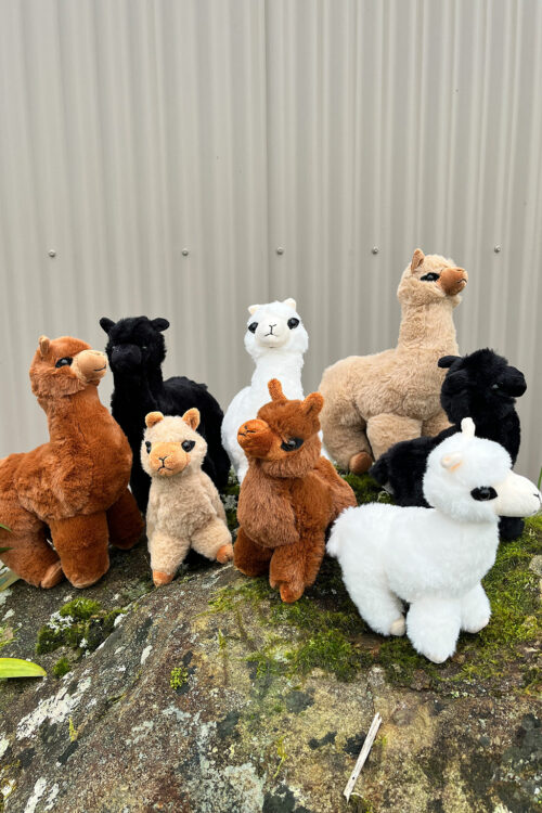alpaca toy