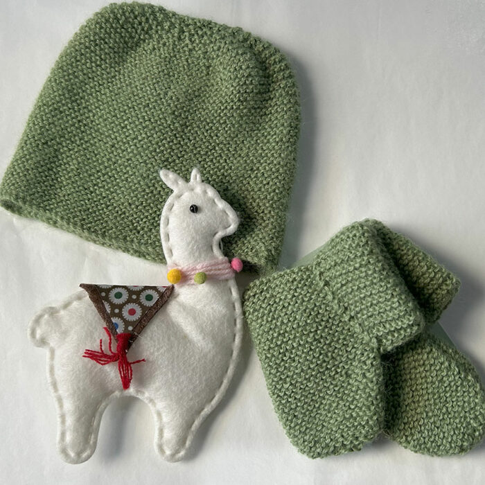 Beanie & Bottie Knit Pack